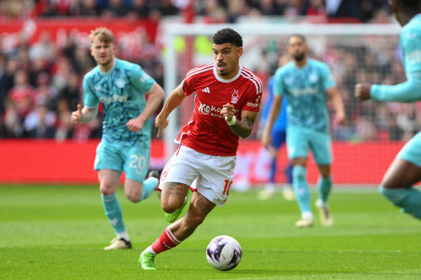 却让他失去 却让他失去